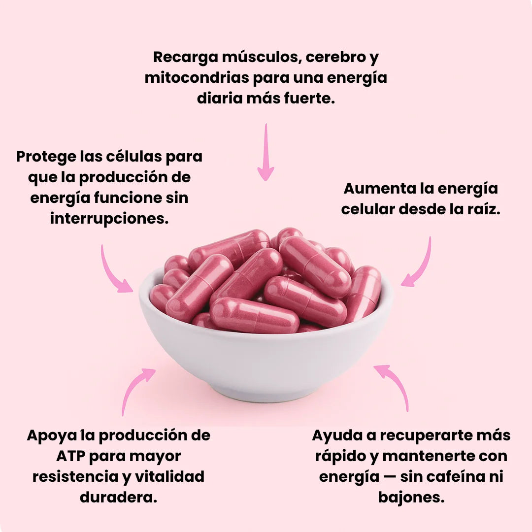 BEETROOT ORGANICO 1300mg – Cápsulas de Remolacha Pura