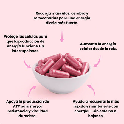 BEETROOT ORGANICO 1300mg – Cápsulas de Remolacha Pura